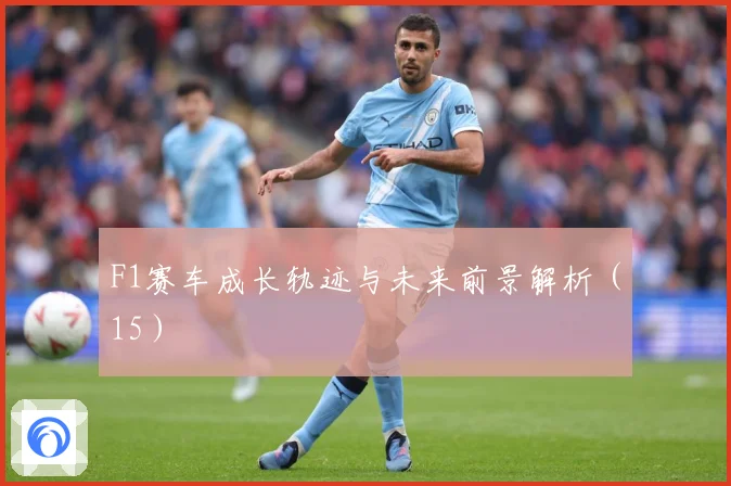 F1赛车成长轨迹与未来前景解析（15）