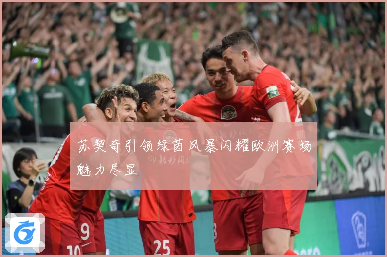 苏契奇引领绿茵风暴闪耀欧洲赛场魅力尽显